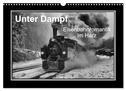 Unter Dampf - Eisenbahnromantik im Harz (Wandkalender 2024 DIN A3 quer), CALVENDO Monatskalender