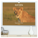 Katzen - Begegnungen in Afrika (hochwertiger Premium Wandkalender 2024 DIN A2 quer), Kunstdruck in Hochglanz