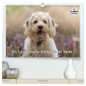 Ein Labradoodle-Welpe in der Heide (hochwertiger Premium Wandkalender 2025 DIN A2 quer), Kunstdruck in Hochglanz