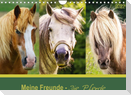 Meine Freunde - die Pferde (Wandkalender 2022 DIN A4 quer)