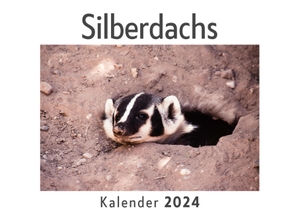 Müller, Anna. Silberdachs (Wandkalender 2024, Kalender DIN A4 quer, Monatskalender im Querformat mit Kalendarium, Das perfekte Geschenk). 27amigos, 2023.
