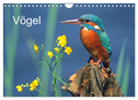 Vögel (Wandkalender 2024 DIN A4 quer), CALVENDO Monatskalender