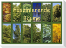 Faszinierende Bäume (Wandkalender 2024 DIN A2 quer), CALVENDO Monatskalender