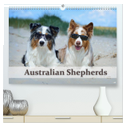 Wunderbare Australian Shepherds (hochwertiger Premium Wandkalender 2025 DIN A2 quer), Kunstdruck in Hochglanz