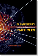 Elementary Particles: Building Blocks of Matter