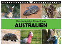 Die einzigartige Tierwelt von Australien (Wandkalender 2024 DIN A4 quer), CALVENDO Monatskalender