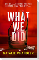 What We Did