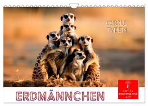 Roder, Peter. Erdmännchen - coole Typen (Wandkalender 2027 DIN A4 quer), CALVENDO Monatskalender - Kleine, mächtige Raubtiere, die im südlichen Afrika leben.. Calvendo, 2026.