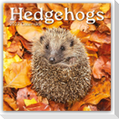 Hedgehogs - Igel 2027 - 16-Monatskalender