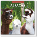 Alpacas - Alpakas 2027 - 16-Monatskalender