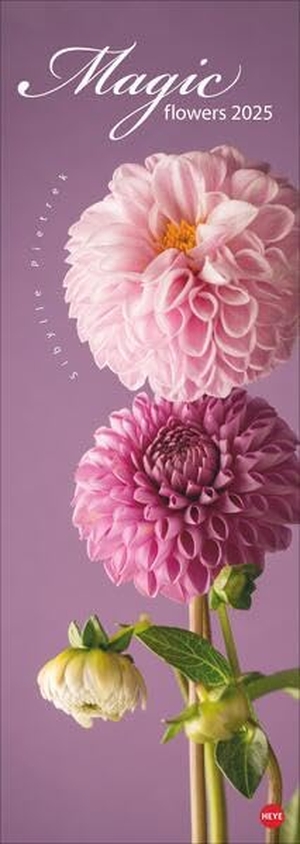 Magic Flowers Vertical Kalender 2025 - Langer Wandkalender mit farbenprächtigen Blumen-Fotos. Dekorativer XL Kalender vertikal mit beeindruckenden Blüten. 25 x 69 cm.. Heye, 2024.