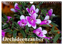 Orchideenzauber (Wandkalender 2025 DIN A4 quer), CALVENDO Monatskalender