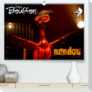 Cirque Bouffon NANDOU (Premium, hochwertiger DIN A2 Wandkalender 2022, Kunstdruck in Hochglanz)