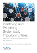 Identifying and Prioritizing Systemically Important Entities