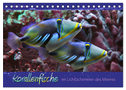 Korallenfische im Lichtschimmer des Meeres (Tischkalender 2024 DIN A5 quer), CALVENDO Monatskalender