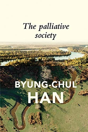 Han, Byung-Chul. The Palliative Society - Pain Today. John Wiley and Sons Ltd, 2021.