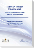 Se busca familia para un niño : perspectivas psico-jurídicas sobre la adoptabilidad