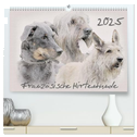 Französische Hirtenhunde 2025 (hochwertiger Premium Wandkalender 2025 DIN A2 quer), Kunstdruck in Hochglanz