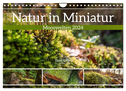 Natur in Miniatur - Mooswelten (Wandkalender 2024 DIN A4 quer), CALVENDO Monatskalender