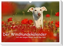 Der Windhundekalender (Wandkalender 2024 DIN A3 quer), CALVENDO Monatskalender
