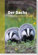 Der Dachs