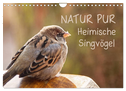 NATUR PUR Heimische Singvögel (Wandkalender 2024 DIN A4 quer), CALVENDO Monatskalender