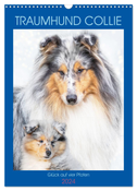 Traumhund Collie - Glück auf vier Pfoten (Wandkalender 2024 DIN A3 hoch), CALVENDO Monatskalender