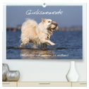 Glücksmomente - Unterwegs mit meinem Islandhund (hochwertiger Premium Wandkalender 2024 DIN A2 quer), Kunstdruck in Hochglanz