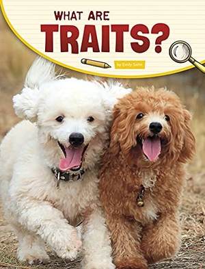 Sohn, Emily. What Are Traits?. Capstone, 2021.