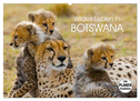 Wildes Leben in Botswana (Wandkalender 2025 DIN A2 quer), CALVENDO Monatskalender