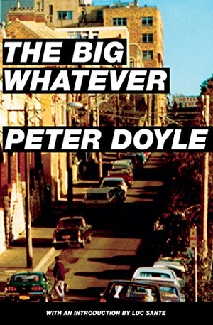 Doyle, Peter. The Big Whatever. Verse Chorus Press, 2015.