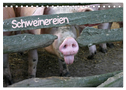 Schweinereien (Tischkalender 2024 DIN A5 quer), CALVENDO Monatskalender