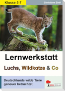 Lernwerkstatt Luchs, Wildkatze & Co
