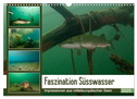 Faszination Süsswasser (Wandkalender 2025 DIN A3 quer), CALVENDO Monatskalender