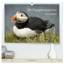 Die Papageientaucher von Island (hochwertiger Premium Wandkalender 2024 DIN A2 quer), Kunstdruck in Hochglanz