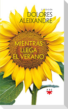 Mientras llega el verano