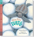 One Tiny Turtle