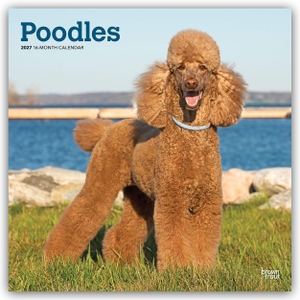 Publishers, Browntrout. Poodles - Pudel 2027 - 16-Monatskalender - Original BrownTrout-Kalender [Mehrsprachig] [Kalender]. Browntrout Verlags GmbH, 2026.