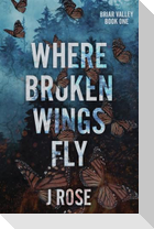 Where Broken Wings Fly