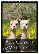 Alpakas zum Verlieben (Wandkalender 2024 DIN A2 hoch), CALVENDO Monatskalender