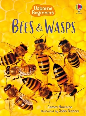 Maclaine, James. Bees and Wasps (Usborne Beginners). Usborne Books, 2025.