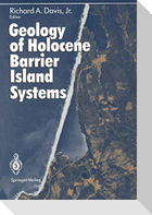 Geology of Holocene Barrier Island Systems