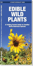 Edible Wild Plants
