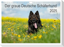 Der graue Deutsche Schäferhund (Wandkalender 2025 DIN A4 quer), CALVENDO Monatskalender