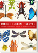 Die schönsten Insekten (Tischkalender 2023 DIN A5 hoch)