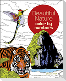Beautiful Nature Color by Numbers