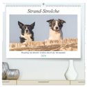 Strand-Strolche (hochwertiger Premium Wandkalender 2024 DIN A2 quer), Kunstdruck in Hochglanz