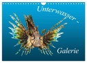 Unterwasser-Galerie (Wandkalender 2024 DIN A4 quer), CALVENDO Monatskalender