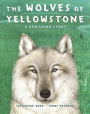 Barr, Catherine. The Wolves of Yellowstone - A Rewilding Story. Bloomsbury USA, 2022.