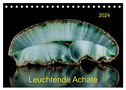 Leuchtende Achate (Tischkalender 2024 DIN A5 quer), CALVENDO Monatskalender